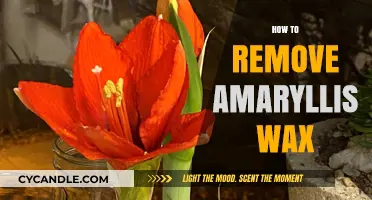 Effective Methods to Safely Remove Amaryllis Wax: A Step-by-Step Guide