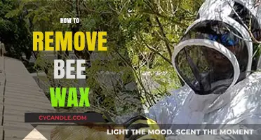 Effective Methods to Remove Bee Wax Easily and Safely at Home