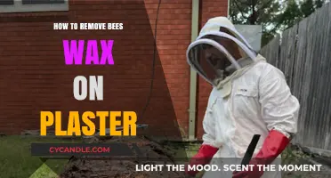 Effective Ways to Remove Beeswax from Plaster Surfaces Easily