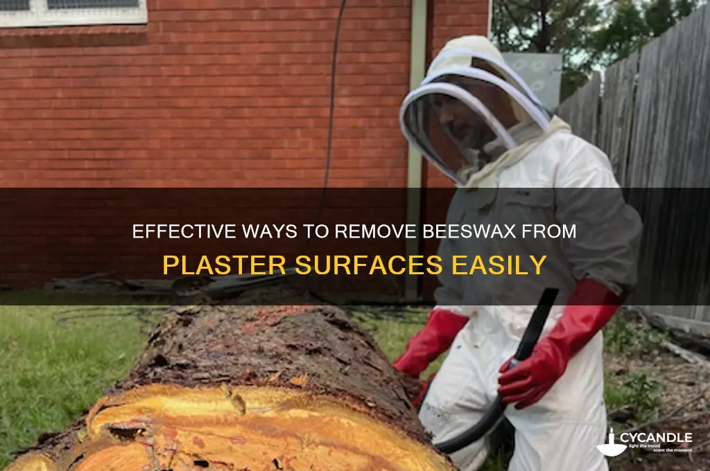 how to remove bees wax on plaster