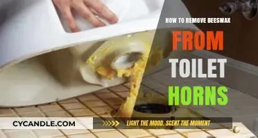 Effective Tips to Remove Beeswax from Toilet Horns Easily