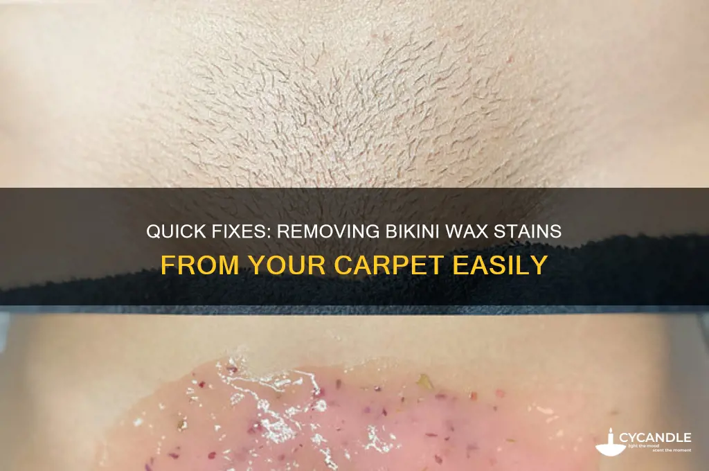how to remove bikini wax from carpet