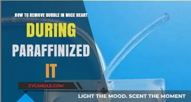 Effective Techniques to Eliminate Bubbles in Paraffinized Mouse Hearts