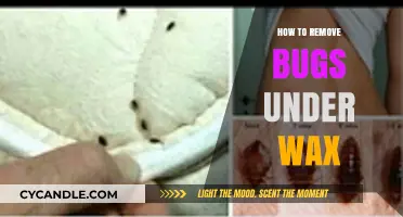 Effective Techniques to Remove Bugs Under Wax Safely and Easily
