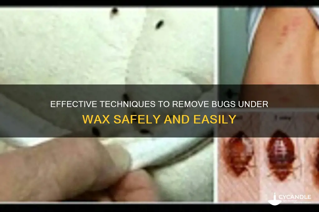 how to remove bugs under wax