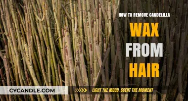 Effective Ways to Remove Candelilla Wax from Hair Easily