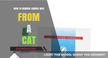 Safely Removing Candle Wax from Your Cat: A Step-by-Step Guide