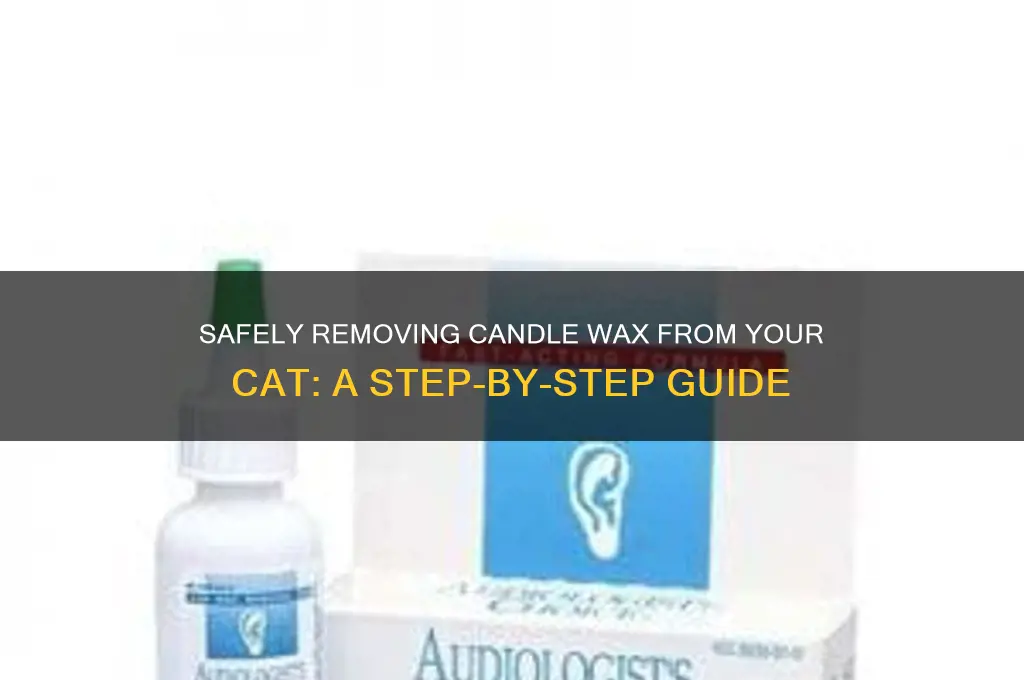 how to remove candle wax from a cat
