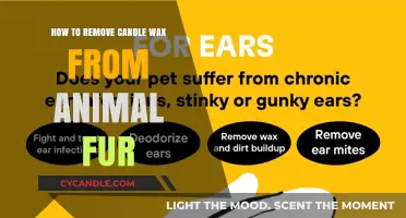 Quick Tips for Safely Removing Candle Wax from Pet Fur