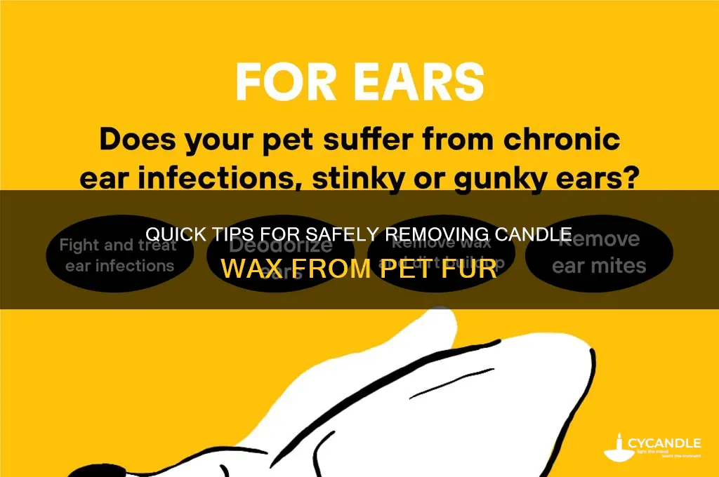 how to remove candle wax from animal fur