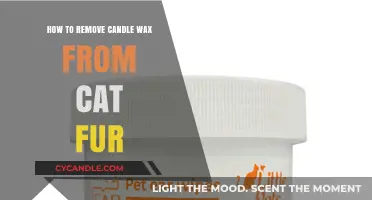 Quick Tips for Safely Removing Candle Wax from Cat Fur
