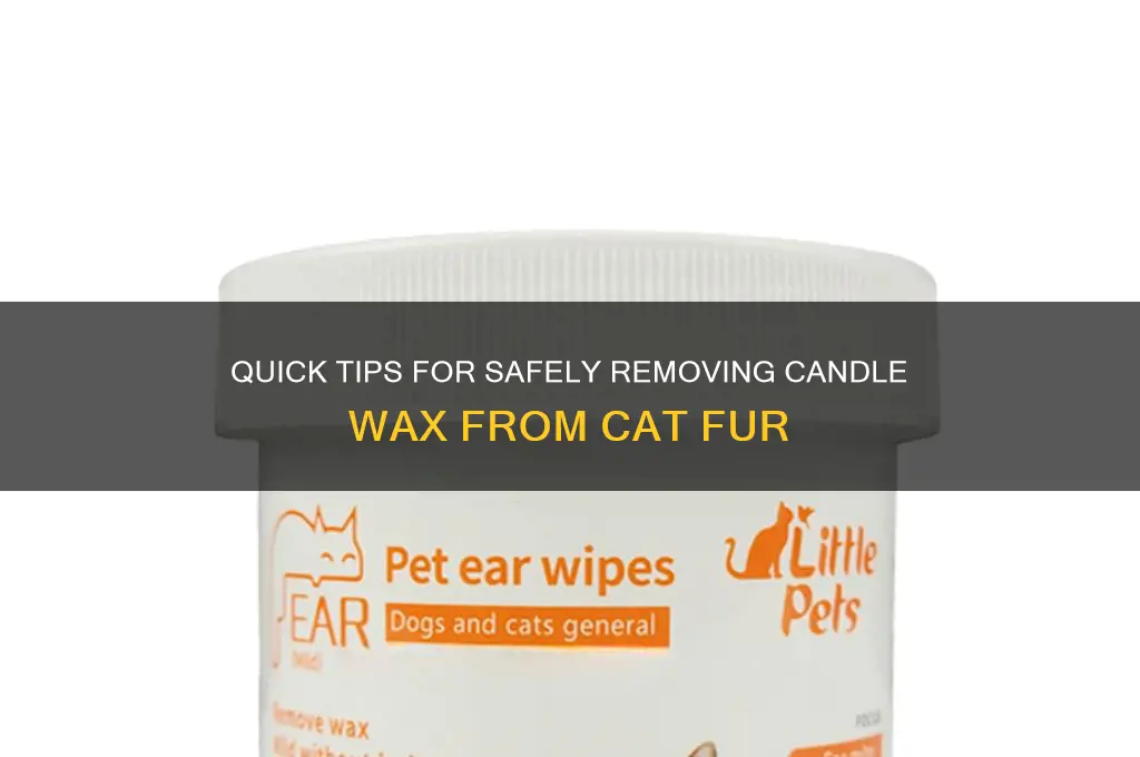 how to remove candle wax from cat fur