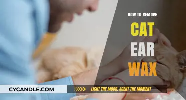 Effective Tips for Safely Removing Cat Ear Wax at Home