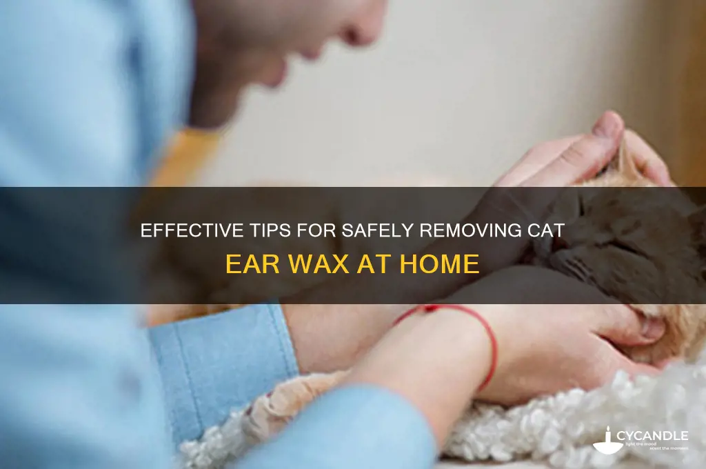 how to remove cat ear wax