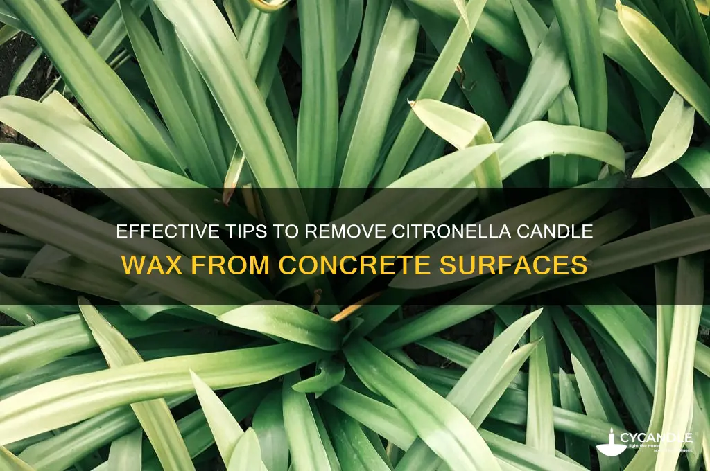 how to remove citronella candle wax from concrete