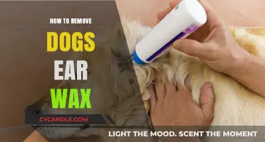 Effective Tips for Safely Removing Your Dog's Ear Wax at Home