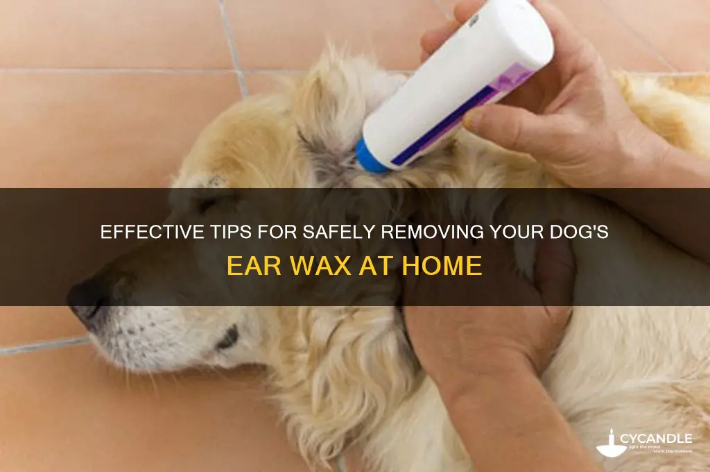 how to remove dogs ear wax