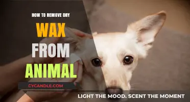Effective Techniques to Safely Remove Dry Wax from Your Pet