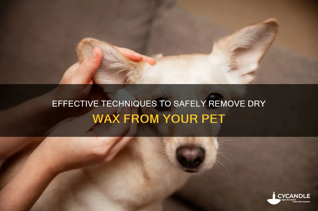 how to remove dry wax from animal