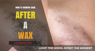 Post-Wax Hair Removal: Tips for Smooth, Stubble-Free Skin