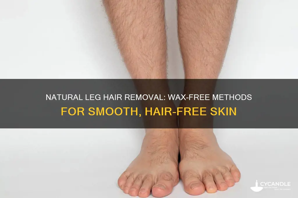 how to remove hair from legs naturally without waxing
