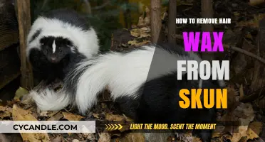 Effective Tips to Safely Remove Hair Wax from Skunk Fur