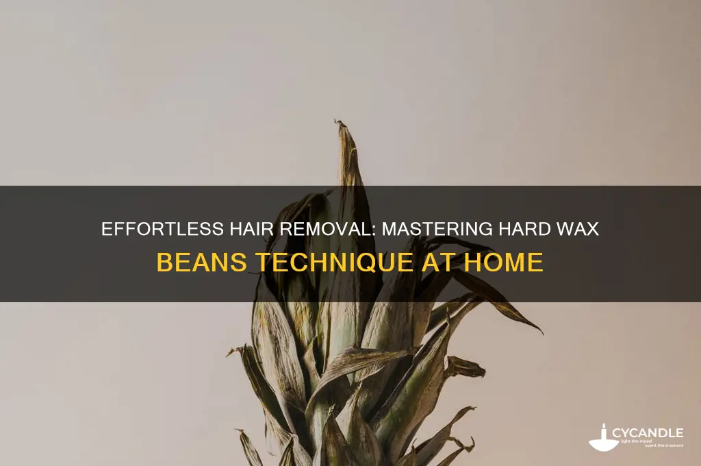 how to remove hair with hard wax beans