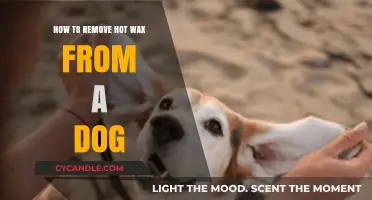 Safely Removing Hot Wax from Your Dog: A Step-by-Step Guide