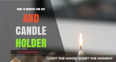 Removing Cat and Candle Holder: A Step-by-Step Guide