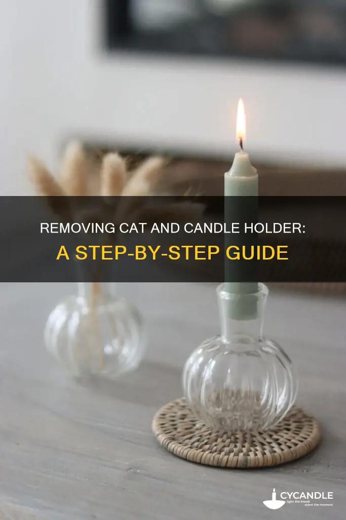 how to remove live cat and candle holder