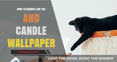Removing Live Wallpaper: Cats and Candles