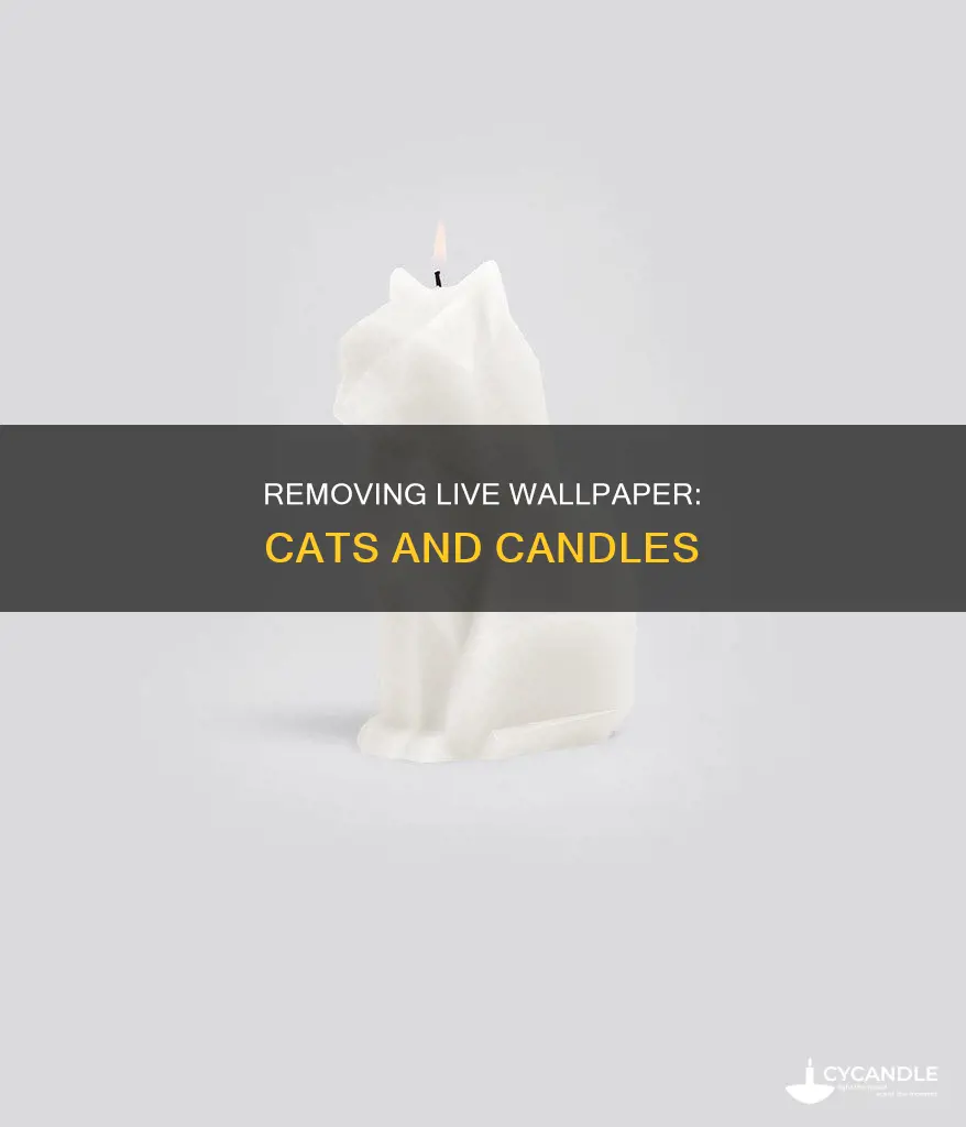 how to remove live cat and candle wallpaper