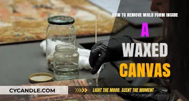 Effective Mold Removal Techniques for Waxed Canvas Surfaces