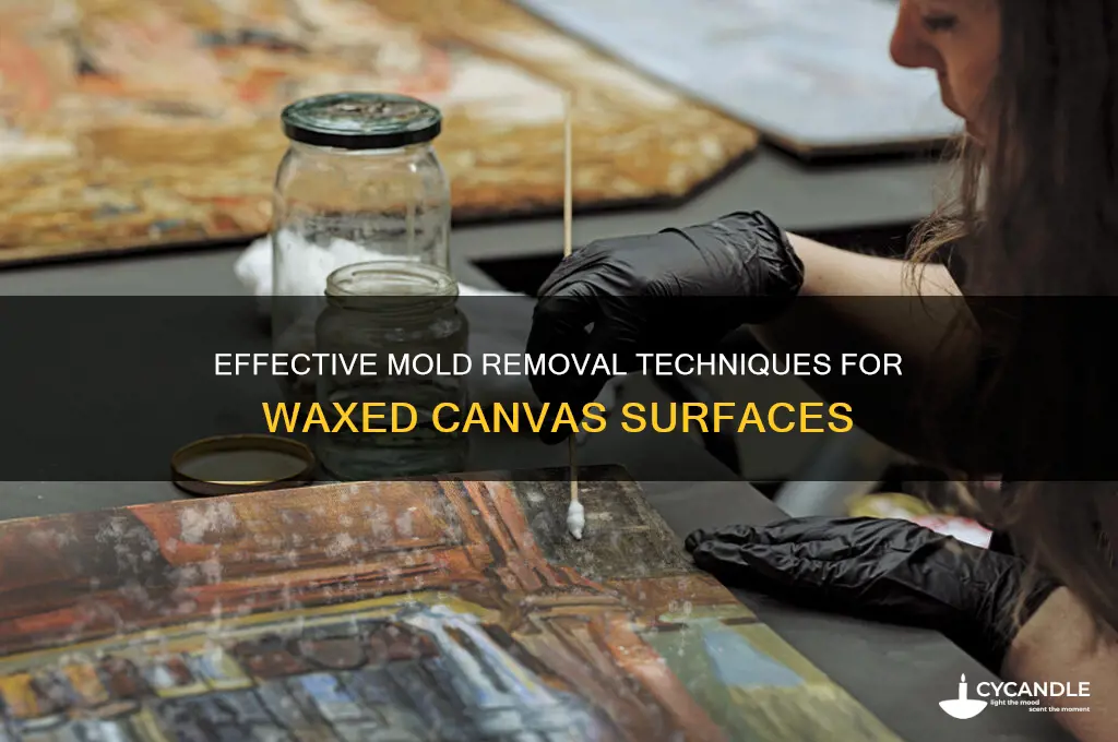 how to remove mold form inside a waxed canvas
