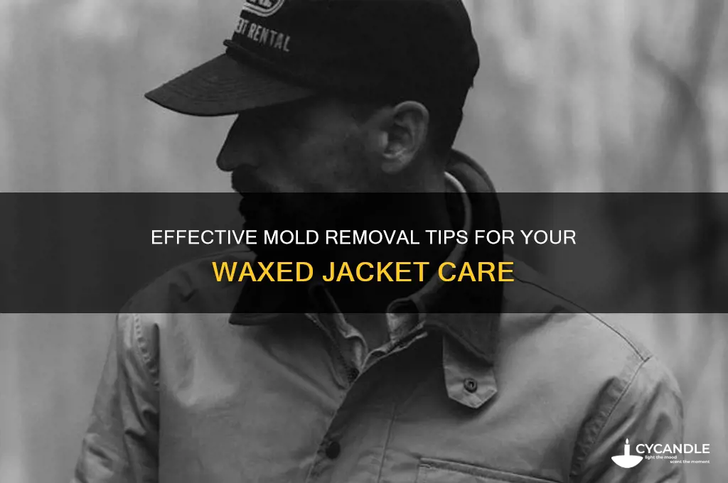 how to remove mold from waxed jacket
