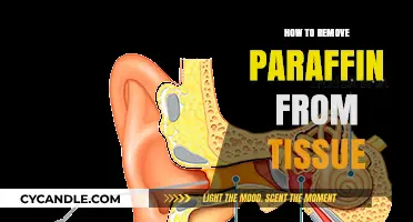 Effective Techniques for Removing Paraffin from Tissue Samples