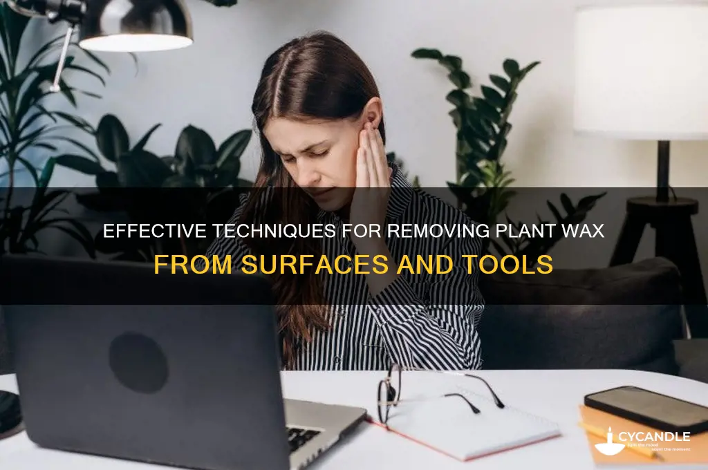 how to remove plant wax