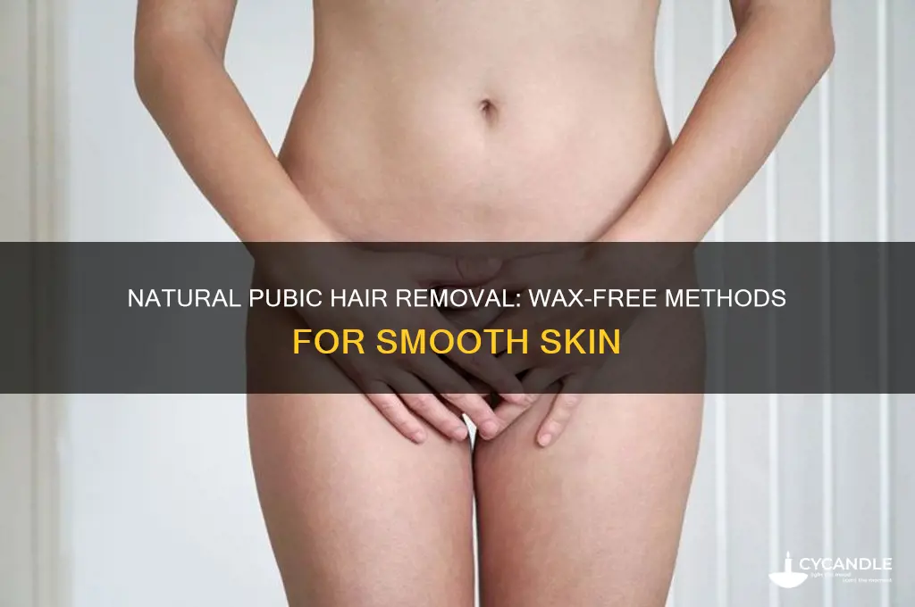 how to remove pubic hair naturally without waxing