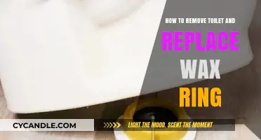 DIY Toilet Repair: Removing and Replacing the Wax Ring Easily