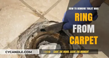 Effective Tips to Remove Toilet Wax Ring from Carpet Easily