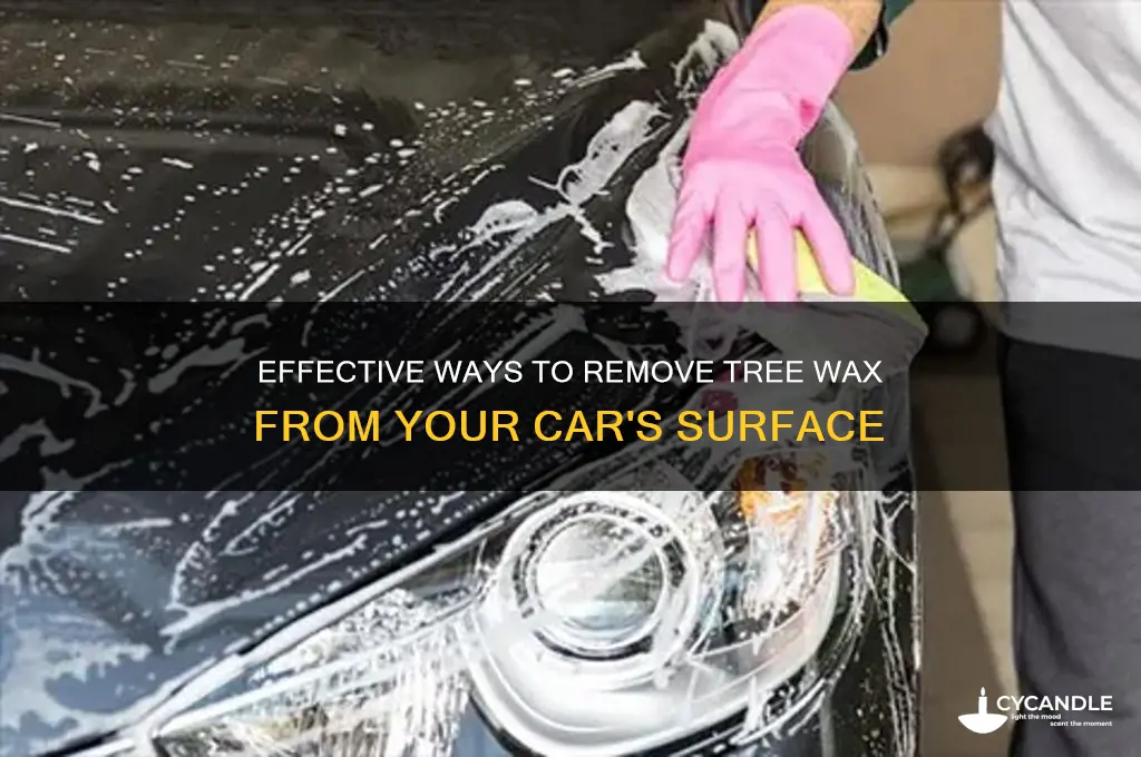 how to remove tree wax from car