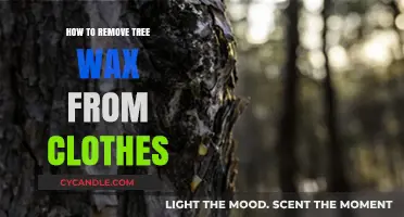 Effective Methods to Remove Tree Wax Stains from Your Clothes