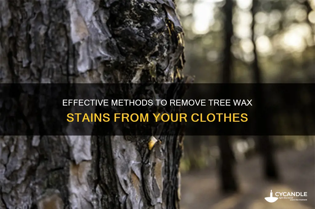 how to remove tree wax from clothes