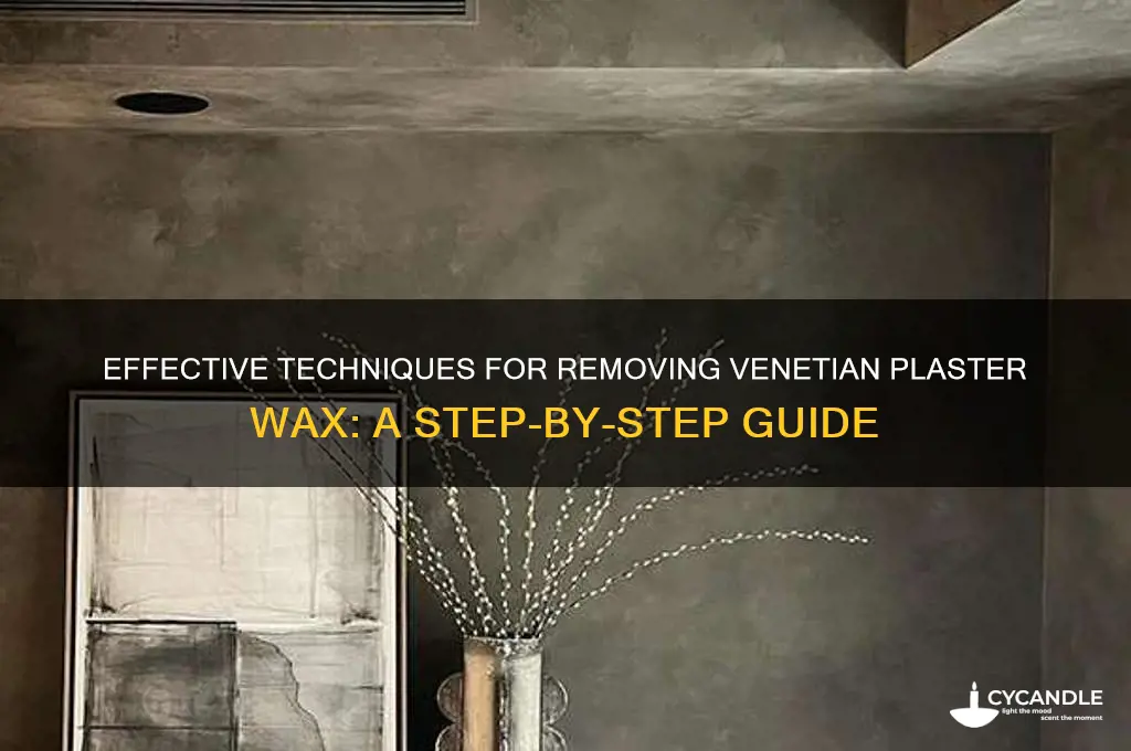 how to remove venetian plaster wax