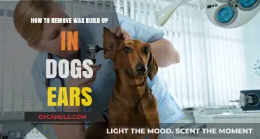 Effective Tips for Removing Wax Buildup in Your Dog's Ears
