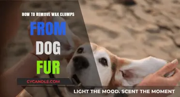 Effective Tips to Safely Remove Wax Clumps from Dog Fur