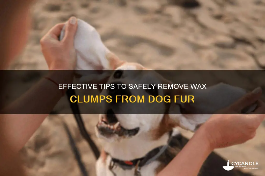 how to remove wax clumps from dog fur