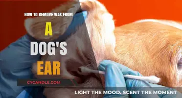 Effective Tips for Safely Removing Wax from Your Dog's Ears