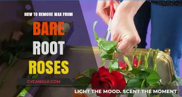 Effective Methods to Remove Wax from Bare Root Roses Safely