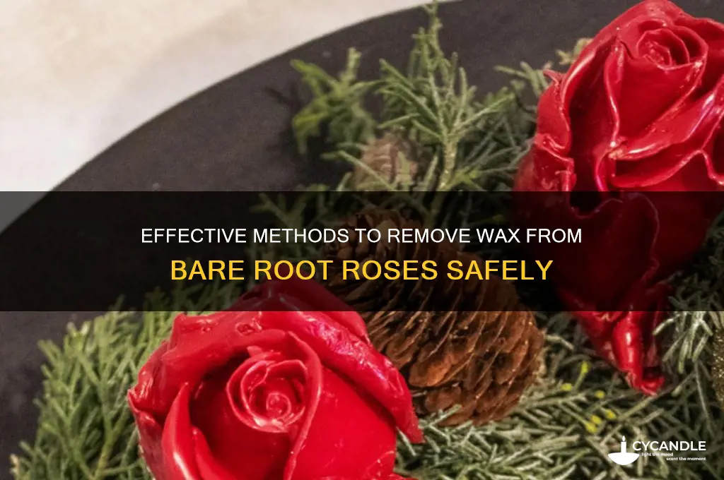 how to remove wax from bare root roses